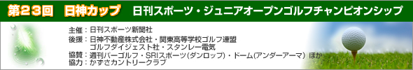 28 A}_uX ֓_uXStI茠